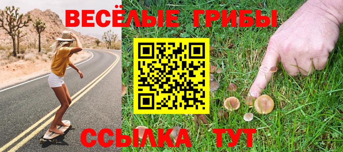 Псилоцибиновые грибы GOLDEN TEACHER Орехово-Зуево